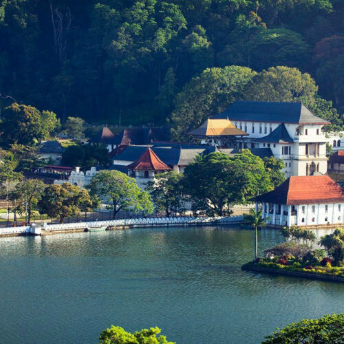 Kandy Day Tour