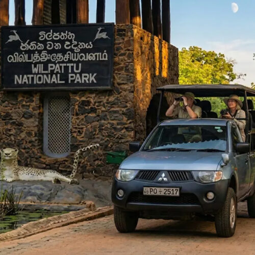 Wilpattu National Park Day Tour